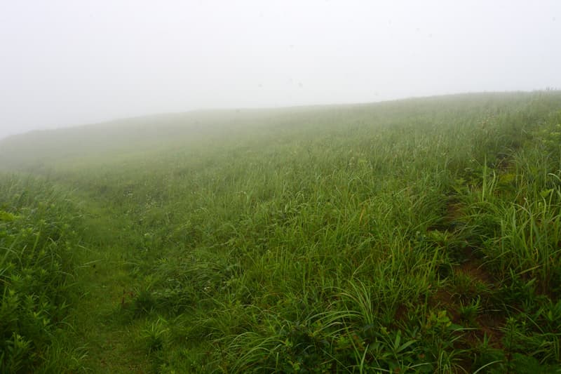 DSC_9835.jpg