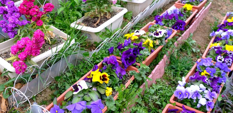 DSCF4633.jpg