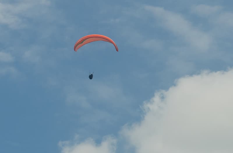 DSC_3550.jpg