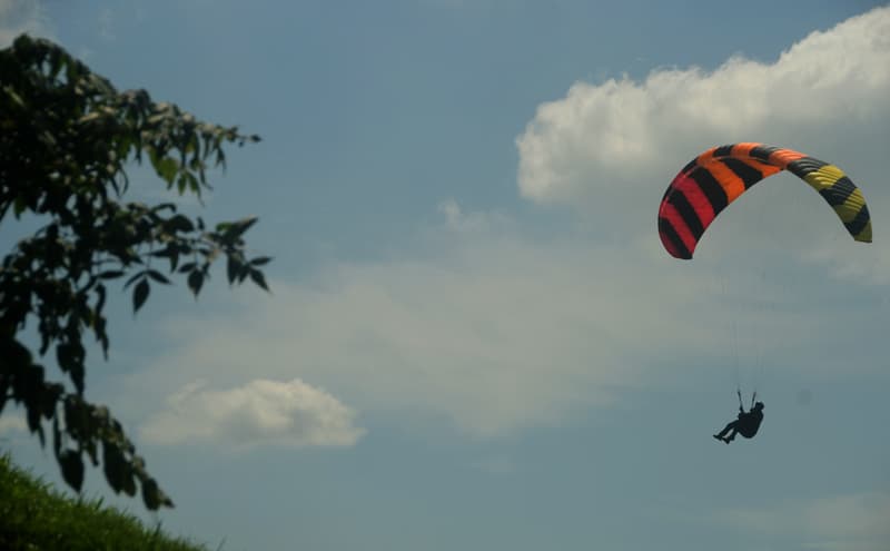 DSC_3669.jpg