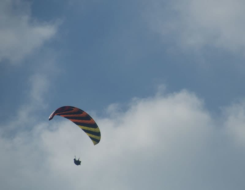 DSC_4013_20221001144054c32.jpg