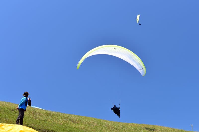 DSC_6702.jpg