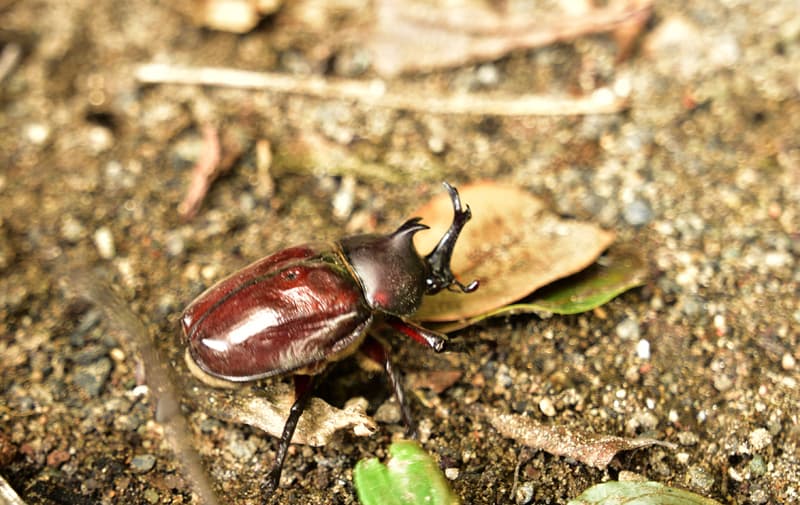 DSC_8337.jpg