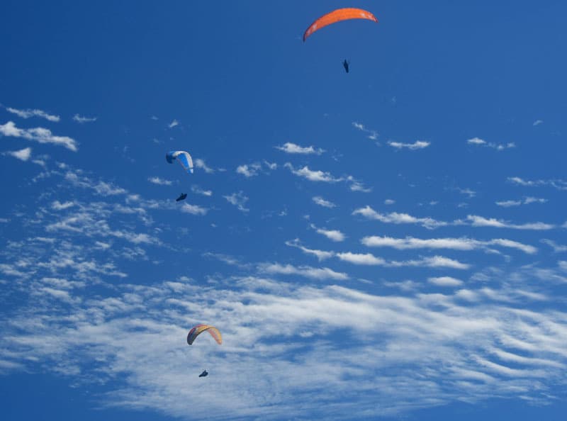 DSC_5168.jpg