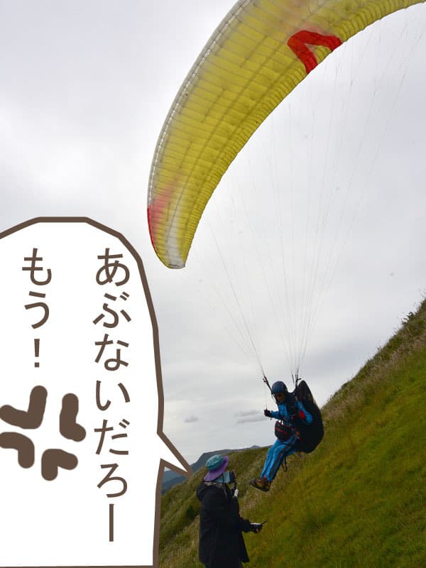 DSC_8737.jpg