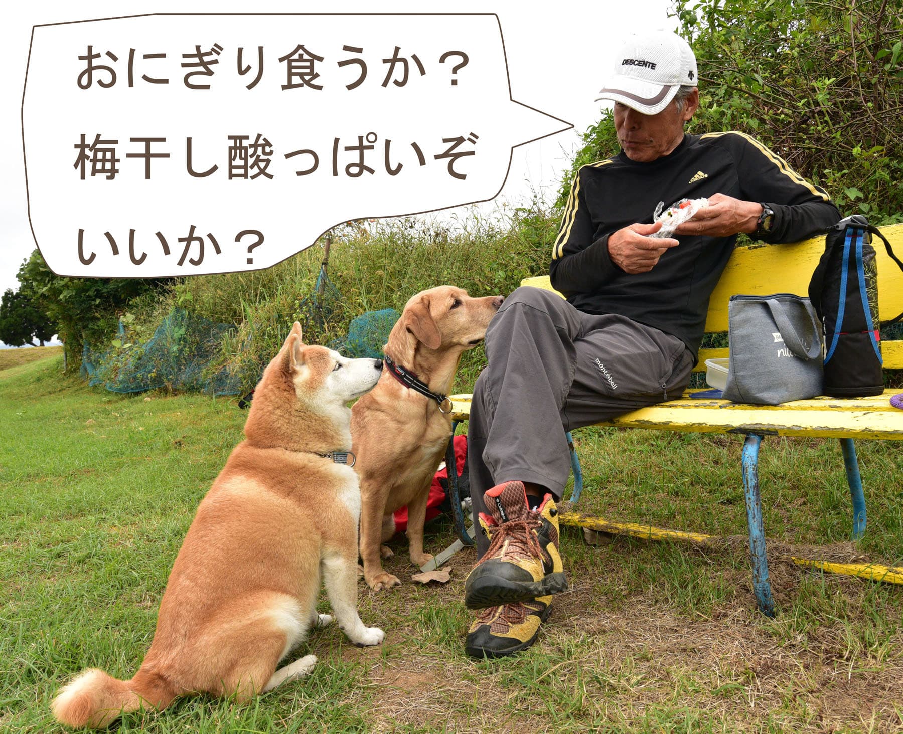 DSC_8784_20231007142752adb.jpg