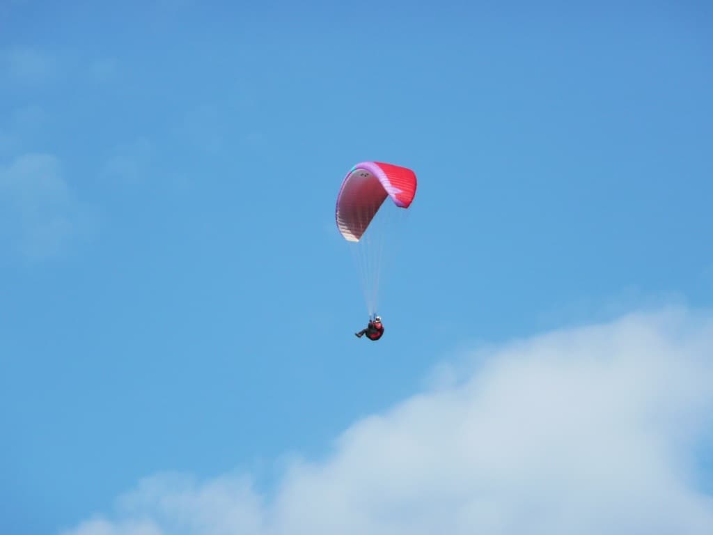 P1000070.jpg