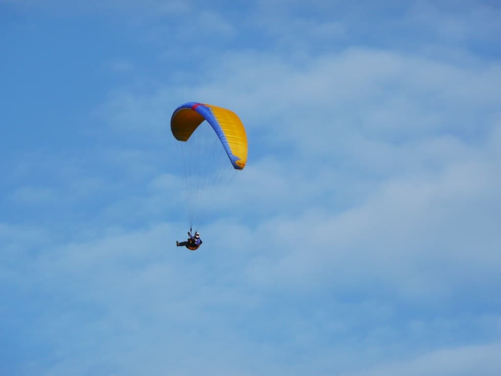 P1000084.jpg
