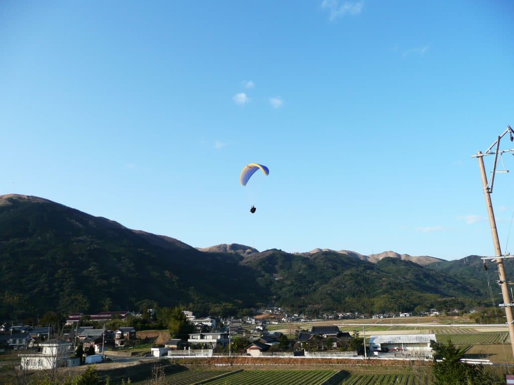 P1000118.jpg