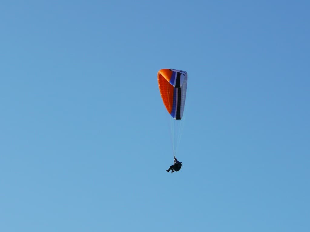 P1000122.jpg
