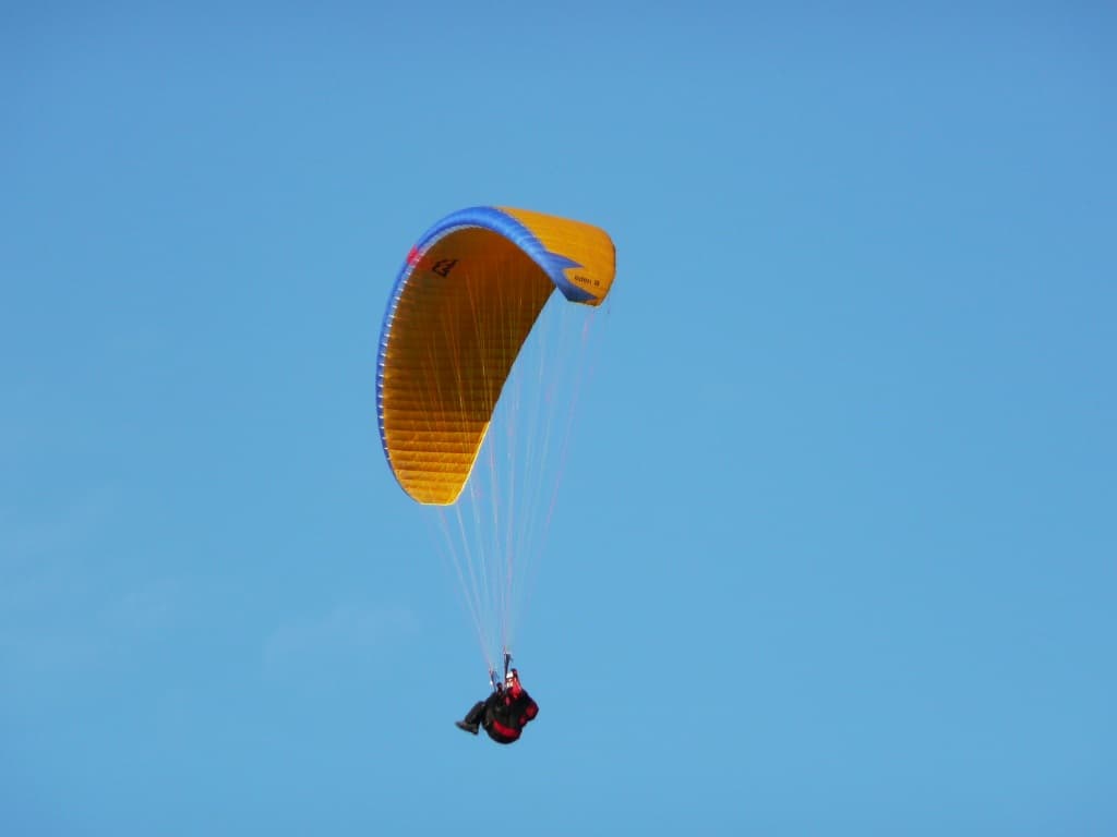 P1000201.jpg