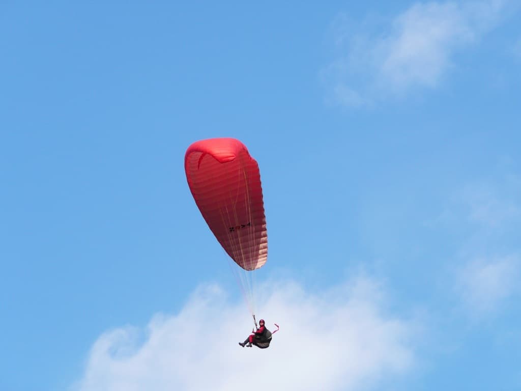 P1000213.jpg
