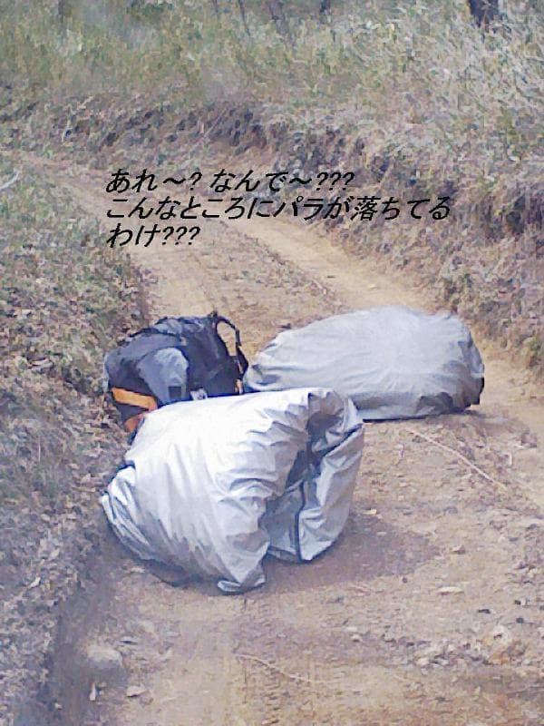 2008_0313画像0027