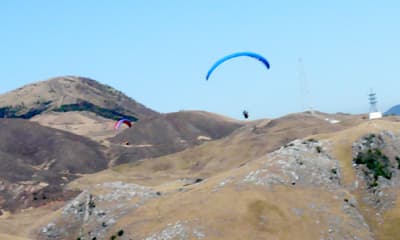 P1020121.jpg