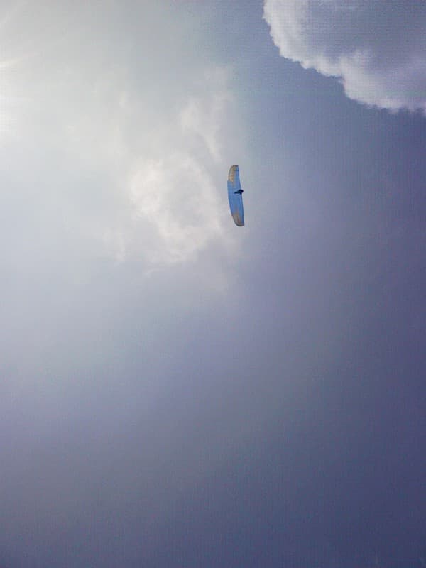 2008_0515画像0037