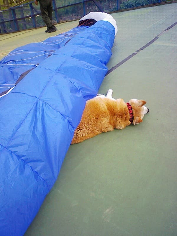 2008_0627画像0006