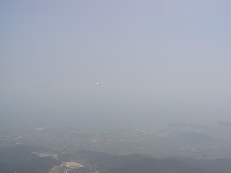P1010036.jpg