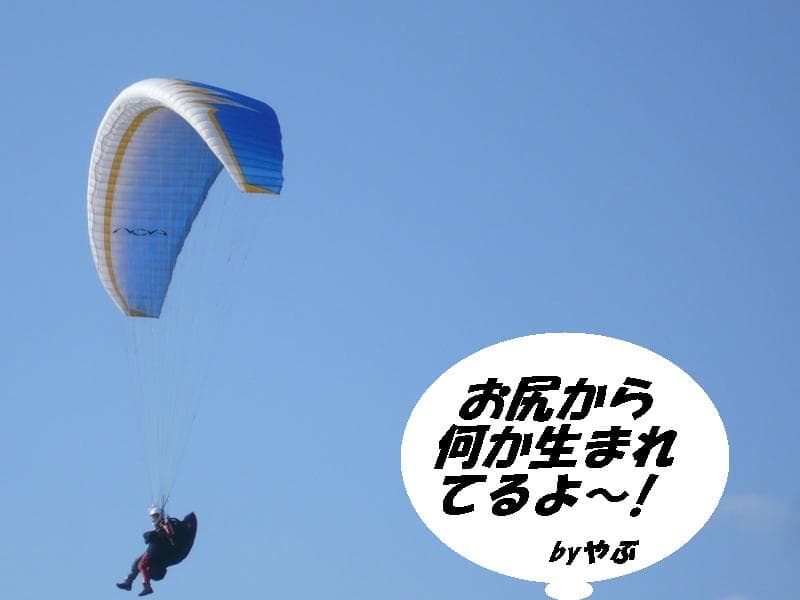 P1070941.jpg