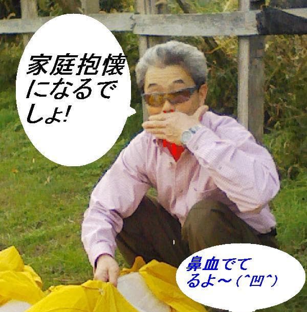 2008_1120画像0025