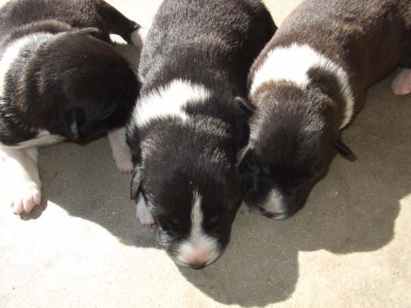 2008春～夏 017