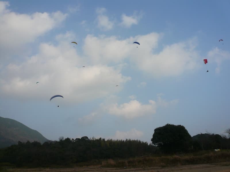 2009_0207画像0076