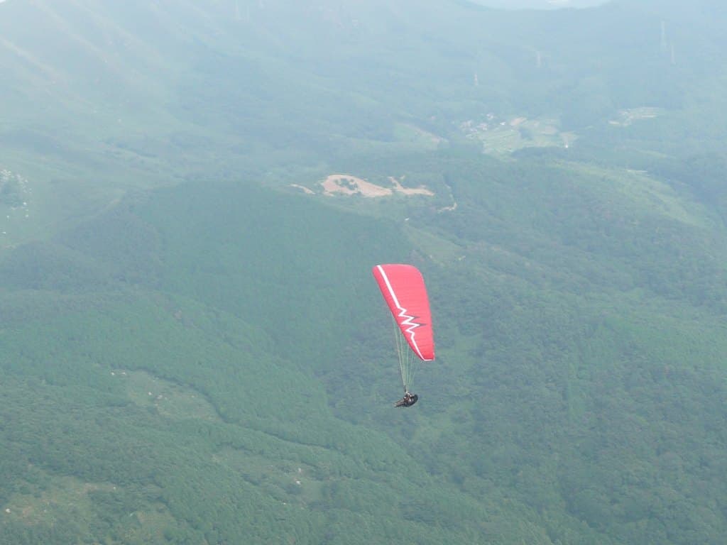 P1010349.jpg