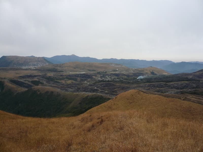 P1050160.jpg