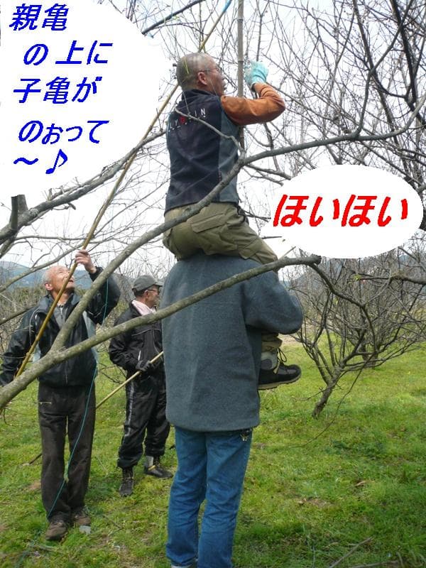 P1050307.jpg