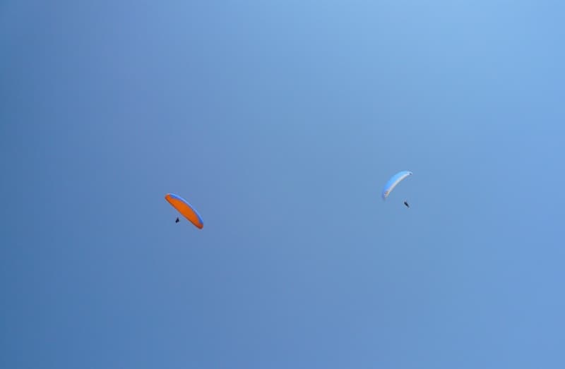 P1050531.jpg