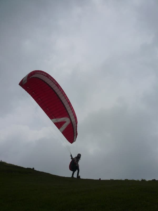 P1050825.jpg