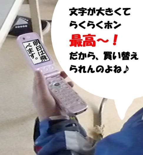 s-P1000468a.jpg