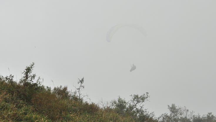 DSC_4625.jpg
