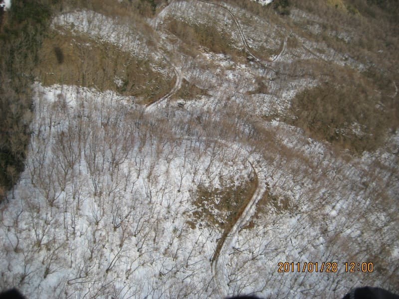 IMG_1654.jpg