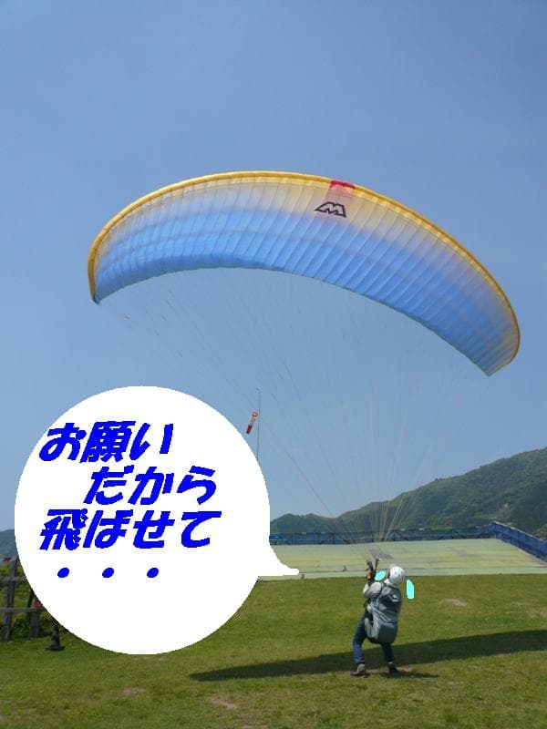 P1090056.jpg