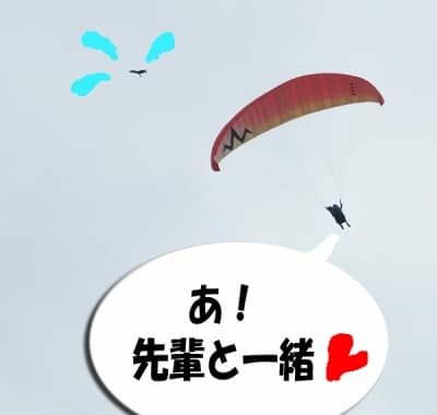 s-DSC_9350.jpg