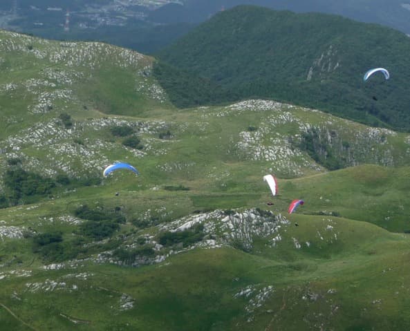 s-P1030944.jpg