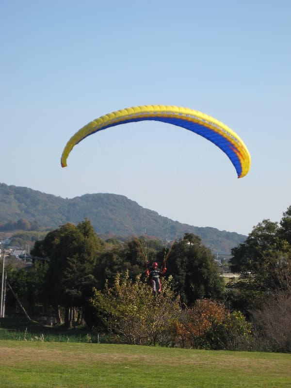 IMG_1377.jpg