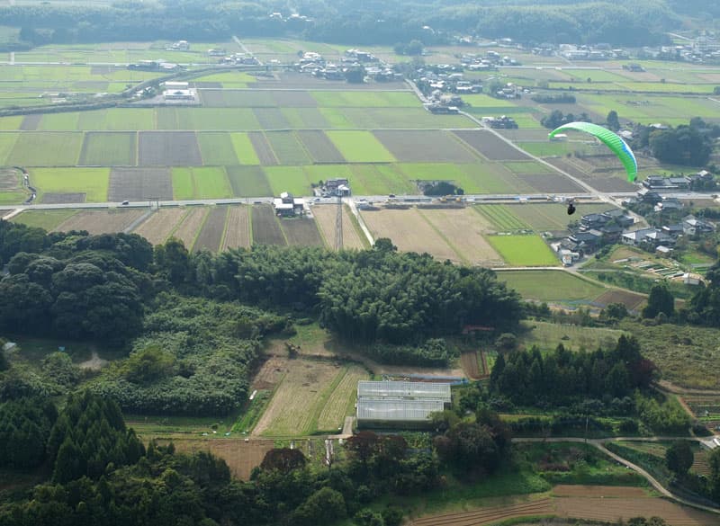 S0044346.jpg