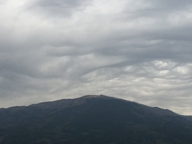 008_20130322185002.jpg