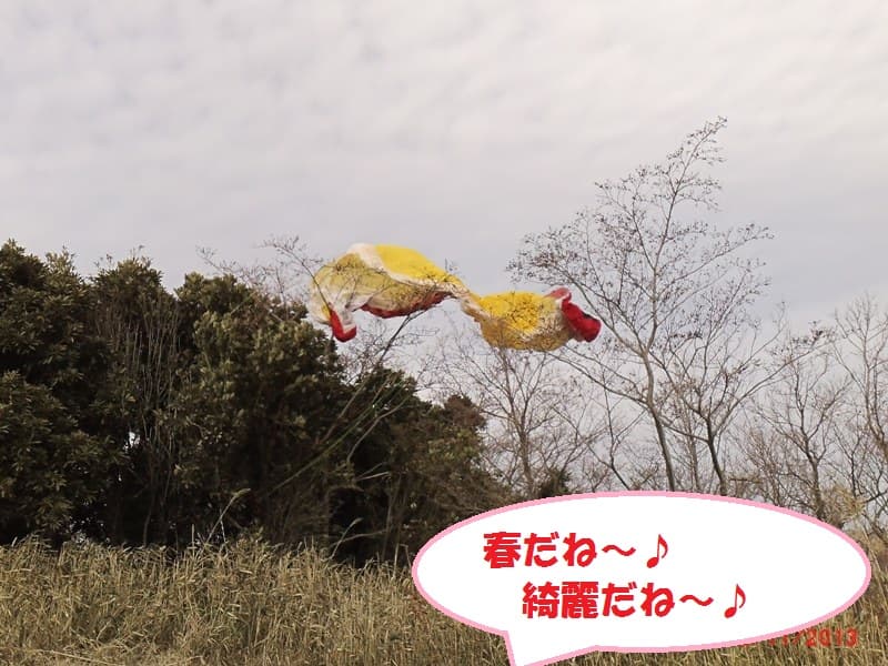 GEDV0007_20130217193606.jpg