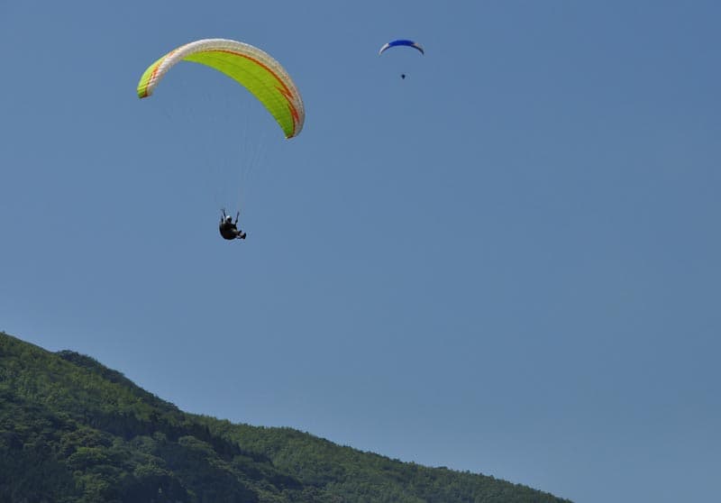 DSC_6117.jpg