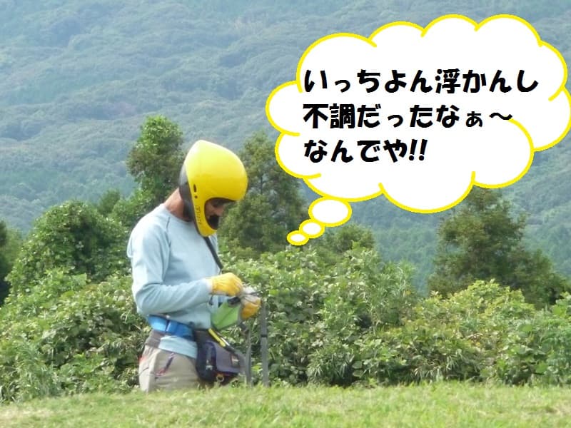 P1050046.jpg