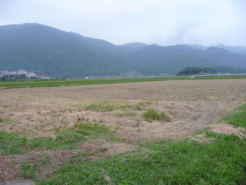 P1050094.jpg