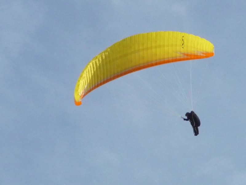 P1050434.jpg