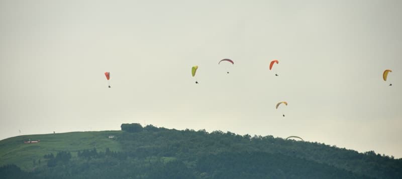 s-DSC_6798.jpg