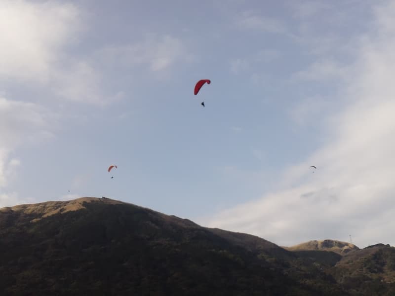 GEDV0012_20140105202329d2e.jpg