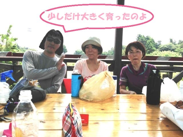 022_2013081520411337d.jpg