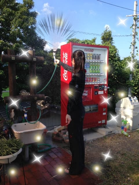 写真yabu