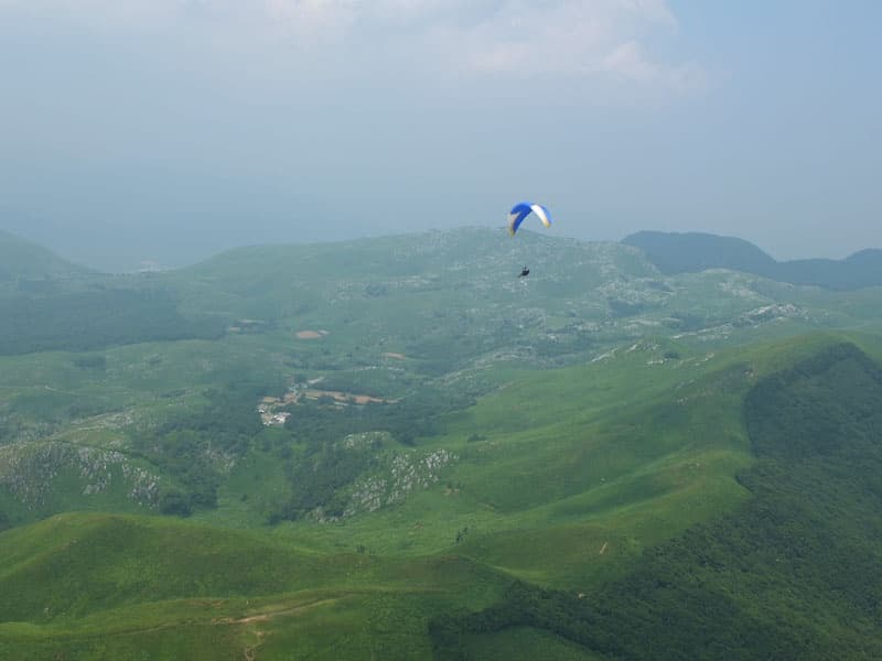 s-S0052923.jpg
