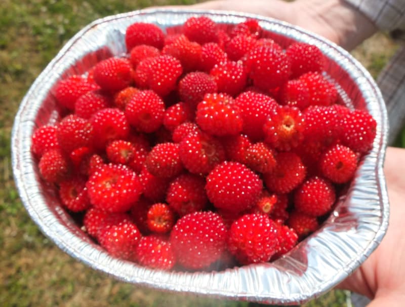 DSCF3855.jpg